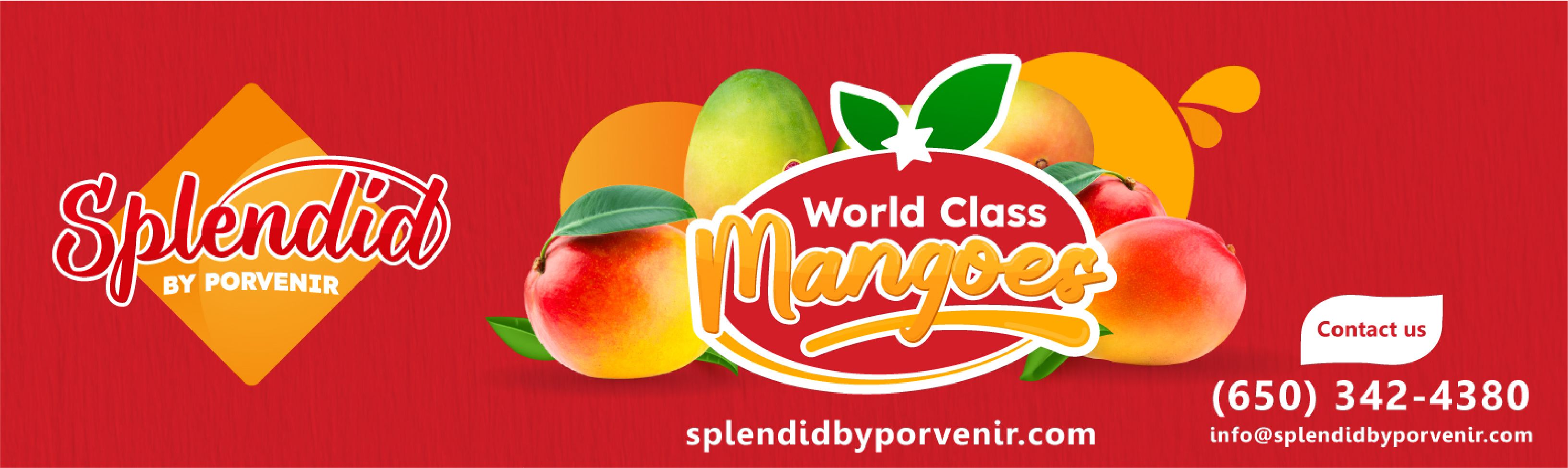 banner splendid