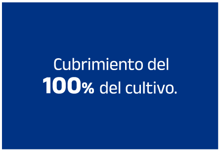 beneficios 2
